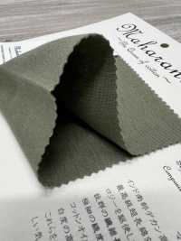 FJ200110 120/2 Silo Maharani® Grace Nervio Circular[Fabrica Textil] Fujisaki Textile Subfoto