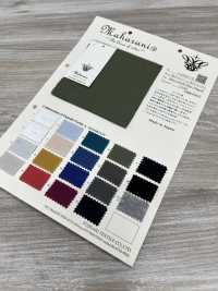 FJ200110 120/2 Silo Maharani® Grace Nervio Circular[Fabrica Textil] Fujisaki Textile Subfoto