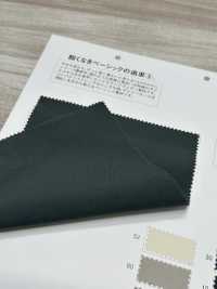 MT33600 Ashitamo -clima Fácil-[Fabrica Textil] Matsubara Foto secundaria