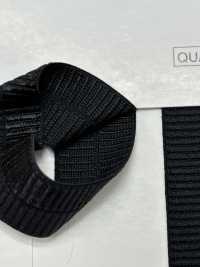 1036 Carpeta De Doble Cara G[Cordón De Cinta De Cinta] Telala (Industria De Cintas Inoue) Subfoto