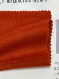 BS41017 Castor De Interacción[Fabrica Textil] Espacio Básico Foto secundaria