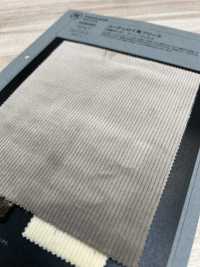 1030450 Polar Estilo Pana[Fabrica Textil] TAKISADA NAGOYA Subfoto