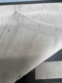 1030450 Polar Estilo Pana[Fabrica Textil] TAKISADA NAGOYA Subfoto