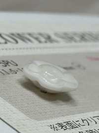 795PU Botón De Plástico Con Forma De Flor De 2 Orificios DAIYA BUTTON(DAIYA BUTTON) Subfoto