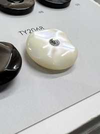 TY2068 Botones De Resina De Poliéster[Botón] DAIYA BUTTON(DAIYA BUTTON) Subfoto