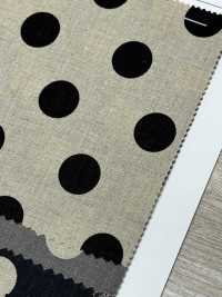 DOT-7100-3 Lino Loomstate Coin Dot[Fabrica Textil] HOKKOH Foto secundaria