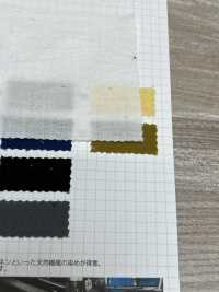 SBKT-11 AZUMADAKI 40/Brújula[Fabrica Textil] SHIBAYA Subfoto