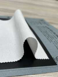 1078421 ALBINI SEA ISLAND COTTON Punto Musgo[Fabrica Textil] TAKISADA NAGOYA Subfoto