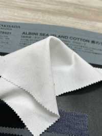 1078421 ALBINI SEA ISLAND COTTON Punto Musgo[Fabrica Textil] TAKISADA NAGOYA Subfoto