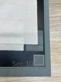 1078421 ALBINI SEA ISLAND COTTON Punto Musgo[Fabrica Textil] TAKISADA NAGOYA Subfoto