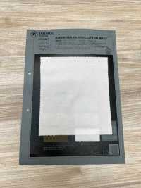 1078421 ALBINI SEA ISLAND COTTON Punto Musgo[Fabrica Textil] TAKISADA NAGOYA Subfoto