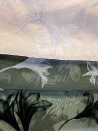 KF4005-DF-3407 Flocado Degradado De Organza Cremosa[Fabrica Textil] Uni Textile(Estudio Komon) Subfoto