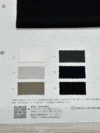 41685 Punto Musgo De 20 Hilos De Algodón Maruude[Fabrica Textil] SUNWELL Subfoto