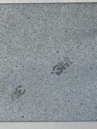 M-8912-BT M-8912 Scotchlite BT (Cinta Al Bies Plana)[Cordón De Cinta De Cinta] MARCA ESTRELLA (Hoshika) Subfoto