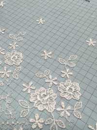 T24371-T15 Encaje Bordado De Tul Transparente[Cordón] Kyowa Lace Subfoto