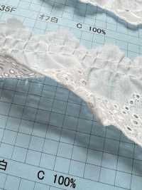 23535F Encaje Con Volantes De Algodón[Cordón] Kyowa Lace Subfoto