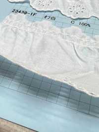 23439-1F Encaje Con Volantes De Algodón[Cordón] Kyowa Lace Subfoto