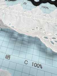 8025F Encaje Con Volantes De Algodón[Cordón] Kyowa Lace Subfoto