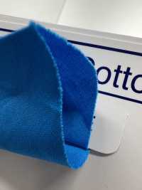 2100-BF Cinta Plana Al Bies De Tela Ancha De Poliéster Y Algodón[Cordón De Cinta De Cinta] Industrias Topman Subfoto