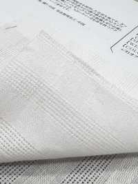 OM43674 Lino Lino Raya Pluma[Fabrica Textil] Oharayaseni Subfoto