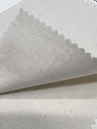 KAYA-1631-KBW Pantalón Chino Compacto De Algodón Kayanu[Fabrica Textil] TIPICO (Textil Kuwamura) Subfoto