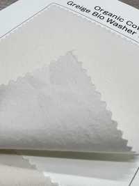 OGN-4820-KBW Paño De Algodón Orgánico NEXT STAGE[Fabrica Textil] TIPICO (Textil Kuwamura) Subfoto