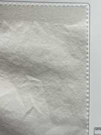 OGN-4820-KBW Paño De Algodón Orgánico NEXT STAGE[Fabrica Textil] TIPICO (Textil Kuwamura) Subfoto