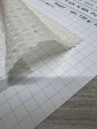 OS599 Elástico De Guinga Transparente[Fabrica Textil] SHIBAYA Subfoto