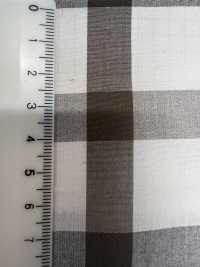 SB57531 Mini Cheque De Tela Para Máquina De Escribir 60/1[Fabrica Textil] SHIBAYA Subfoto