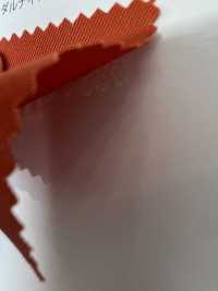 NINE Nueve[Fabrica Textil] Shinko Subfoto