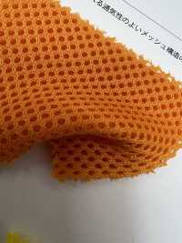 THELMA Selma[Fabrica Textil] Shinko Subfoto