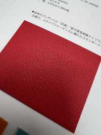 PROTE Prote[Fabrica Textil] Shinko Subfoto