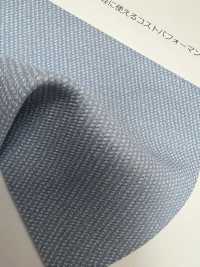 DENIM Dril[Fabrica Textil] Shinko Subfoto