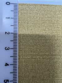 OLIMPIA Olimpia[Fabrica Textil] Shinko Subfoto