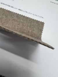 TRENTO Torrente[Fabrica Textil] Shinko Subfoto