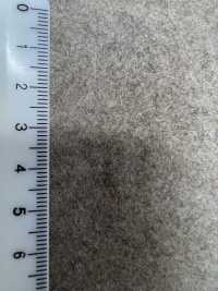 TRENTO Torrente[Fabrica Textil] Shinko Subfoto