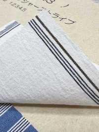 BC3543 Raya De Voile[Fabrica Textil] COSMO TEXTILE Subfoto