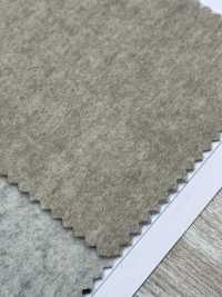 80660T SP100 Excelente Beaver TOP[Fabrica Textil] Parika Subfoto