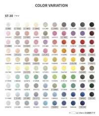 ST-30-A Cabezal Santenac ST30[Cierre A Presión/arandela Con Ojal] Kajitec Subfoto