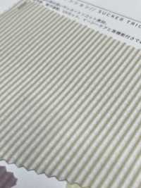 6710 Namiko High Tension Seersucker Tricot[Fabrica Textil] SASAKISELLM Subfoto