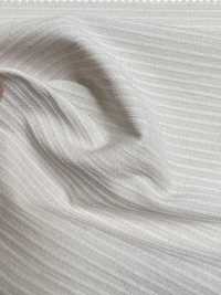 23124 Raya Dobby Natural[Fabrica Textil] SASAKISELLM Subfoto