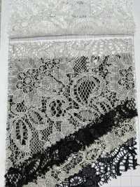 54331 Ambos Cordones Festoneados Raschel[Fabrica Textil] Parika Subfoto