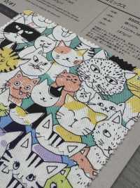 850536 SEVENBERRY® Oxford Algodón Sin Blanquear Nyan Comics[Fabrica Textil] VANCET Subfoto