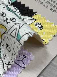 850536 SEVENBERRY® Oxford Algodón Sin Blanquear Nyan Comics[Fabrica Textil] VANCET Subfoto