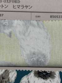 850537 SEVENBERRY® Algodón Oxford Sin Blanquear Del Himalaya[Fabrica Textil] VANCET Subfoto
