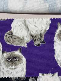 850537 SEVENBERRY® Algodón Oxford Sin Blanquear Del Himalaya[Fabrica Textil] VANCET Subfoto