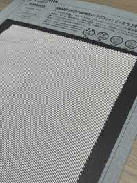 1066603 CAMISAS SMART TEACH® ~ Serie Tricot Raya Catiónica ~[Fabrica Textil] TAKISADA NAGOYA Subfoto