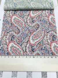3026-650-10 60 Lawn Paisley[Fabrica Textil] HOKKOH Subfoto
