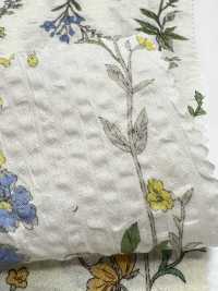 8026-680-4 80 Lawn Miracle Wave Stripe Flower[Fabrica Textil] HOKKOH Subfoto