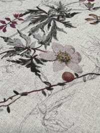 7026-700-1 Patrón Floral Botánico CL Loomstate[Fabrica Textil] HOKKOH Subfoto